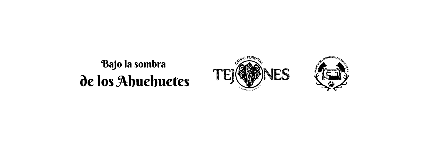 La Canasta  (Tepoztán)